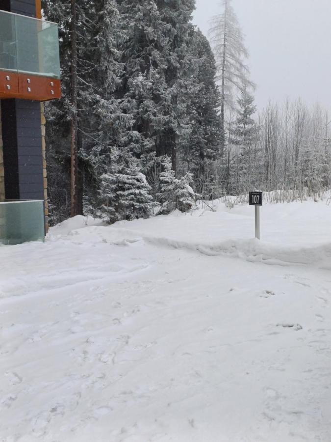 Apartman 107 Hotel Ovruc Štrbské Pleso Dış mekan fotoğraf